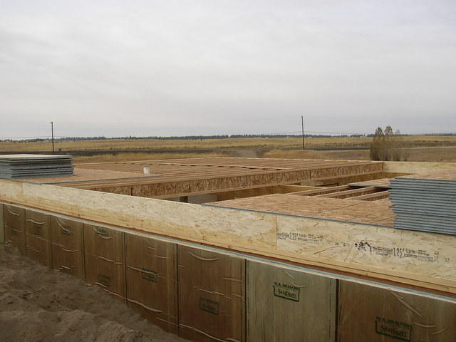 Main Floor Joists and Rim Board